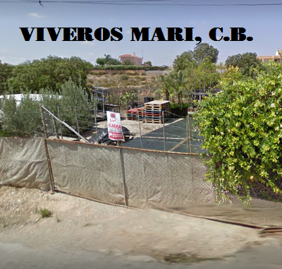 VIVEROS MARI